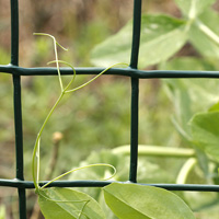 climbing-support-mesh