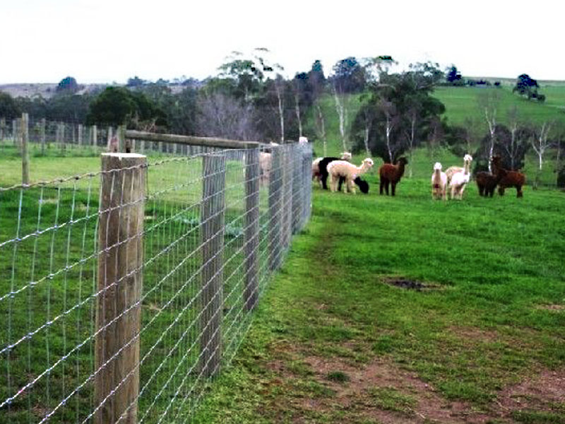 Farm Fence