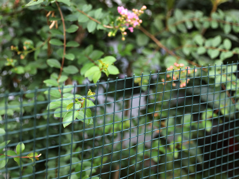 Garden Mesh Fencing