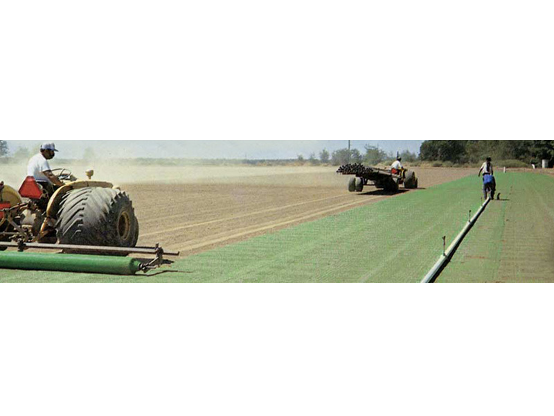 Turf growing net