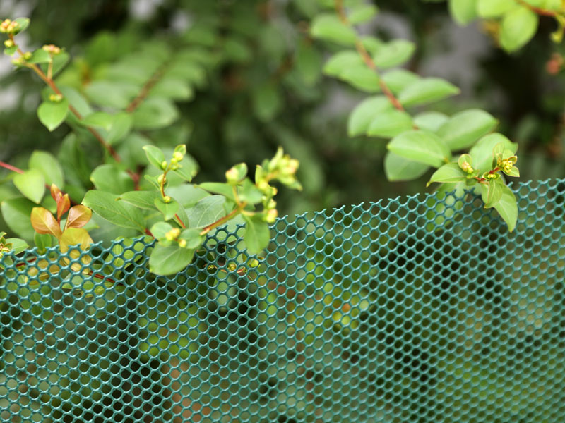 Windbreak fence